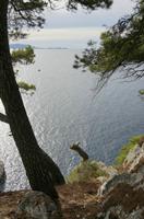 Cjp_2014_09_22_081812.jpg