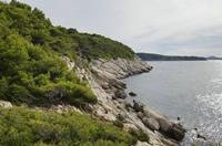Cjp_2014_09_22_083450.jpg