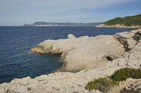 Cjp_2014_09_22_084302.jpg