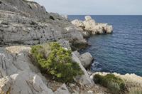 Cjp_2014_09_22_084616.jpg