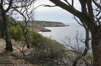 Cjp_2014_09_22_091716.jpg