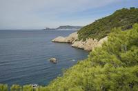 Cjp_2014_09_22_091954.jpg