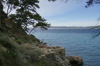 Cjp_2014_09_22_094346.jpg
