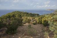 Cjp_2014_09_23_065034.jpg