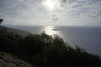 Cjp_2014_09_23_065540.jpg