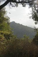 Cjp_2014_09_23_065848.jpg