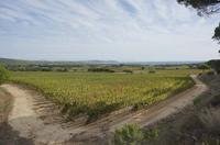 Cjp_2014_09_23_074028.jpg
