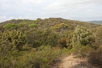 Cjp_2014_09_23_080034.jpg