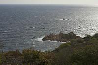Cjp_2014_09_23_080928.jpg