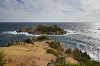 Cjp_2014_09_23_082404.jpg