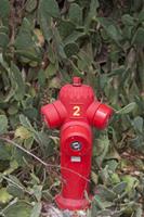 Cjp_2014_09_23_110952.jpg