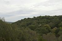 Cjp_2014_09_23_111046.jpg