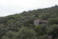 Cjp_2014_09_23_111058.jpg