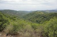 Cjp_2014_09_23_114130.jpg