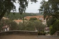 Cjp_2014_09_23_122524.jpg
