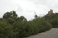 Cjp_2014_09_23_133016.jpg