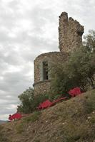 Cjp_2014_09_23_141414.jpg