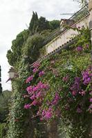 Cjp_2014_09_23_142356.jpg