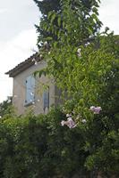 Cjp_2014_09_23_142726.jpg