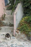 Cjp_2014_09_23_144954.jpg