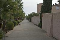 Cjp_2014_09_24_071612.jpg