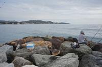 Cjp_2014_09_24_083512.jpg
