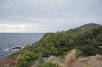 Cjp_2014_09_24_125852.jpg