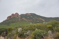 Cjp_2014_09_24_130736.jpg