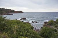 Cjp_2014_09_24_133406.jpg