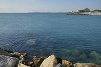 Cjp_2014_09_25_074422.jpg