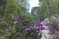 Cjp_2014_09_25_115054.jpg