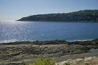 Cjp_2014_09_25_125906.jpg