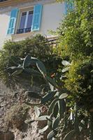 Cjp_2014_09_25_134508.jpg