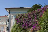Cjp_2014_09_25_134530.jpg