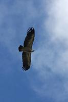 Cjp_2014_10_01_110510_2.jpg