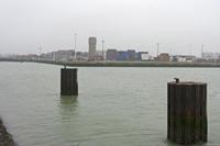 Cjp_2015_03_18_143808.jpg