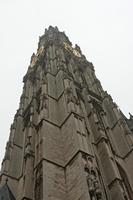 Cjp_2015_03_20_125832.jpg