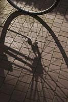 Cjp_2015_03_21_153910.jpg