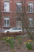 Cjp_2015_03_21_155332.jpg