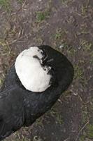 Cjp_2015_03_21_162412.jpg