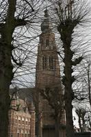 Cjp_2015_03_21_164256.jpg