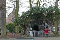 Cjp_2015_03_22_092204.jpg