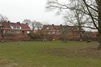 Cjp_2015_03_22_093246.jpg