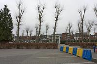 Cjp_2015_03_22_100806.jpg