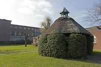 Cjp_2015_03_22_143456.jpg