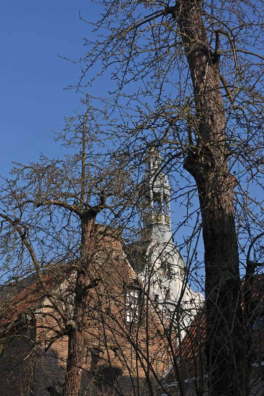 Cjp_2015_03_23_080016.jpg