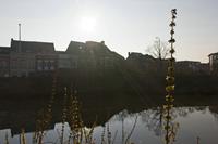 Cjp_2015_03_23_072618.jpg
