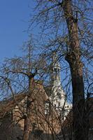 Cjp_2015_03_23_080016.jpg