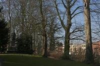 Cjp_2015_03_23_085746.jpg