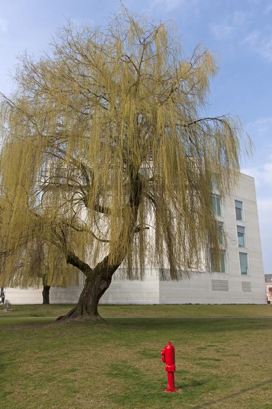 Cjp_2015_03_23_135628.jpg